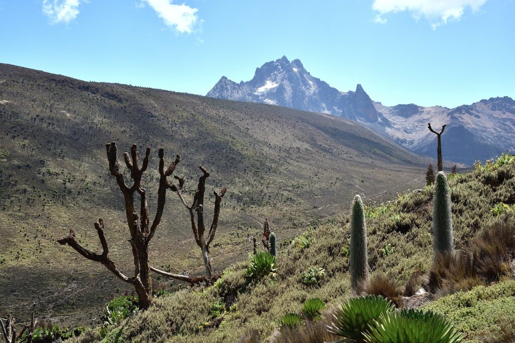 5 Days 4 Nights Mount Kenya Sirimon Trek.edited