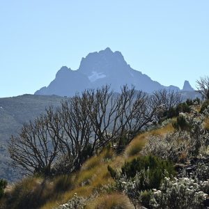 4 Days Mount Kenya Climbing