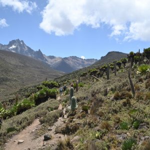 5 Days Mount Kenya Climbing
